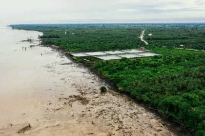 Tambak udang di Bengkalis (ilustrasi)