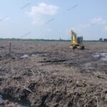 Wilayah mangrove Bengkalis dibabat untuk lokasi usaha tambak udang