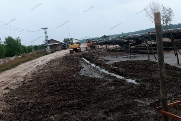 Lokasi tambak udang vannamei di Dusun Parit Lepas, Desa Kembung Luar