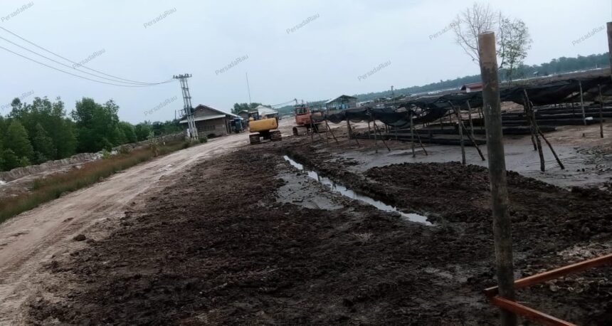 Lokasi tambak udang vannamei di Dusun Parit Lepas, Desa Kembung Luar