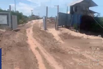 Lokasi tambak udang vannamei PT Genesis Kembong Jaya