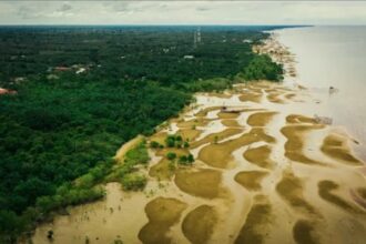 Abrasi di pesisir kabupaten bengkalis