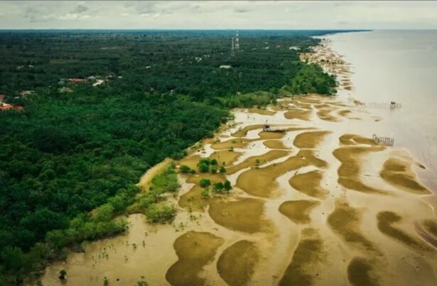 Abrasi di pesisir kabupaten bengkalis