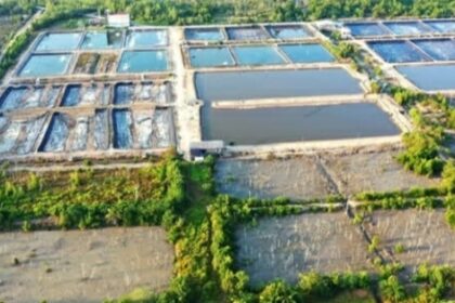 Tambak udang vannamei yang beroperasi di kabupaten bengkalis