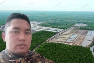 Ketua pemuda lumbung informasi rakyat riau, daniel saragih