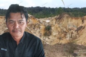 Berti Sitanggang, Plt Ketua Umum PETIR