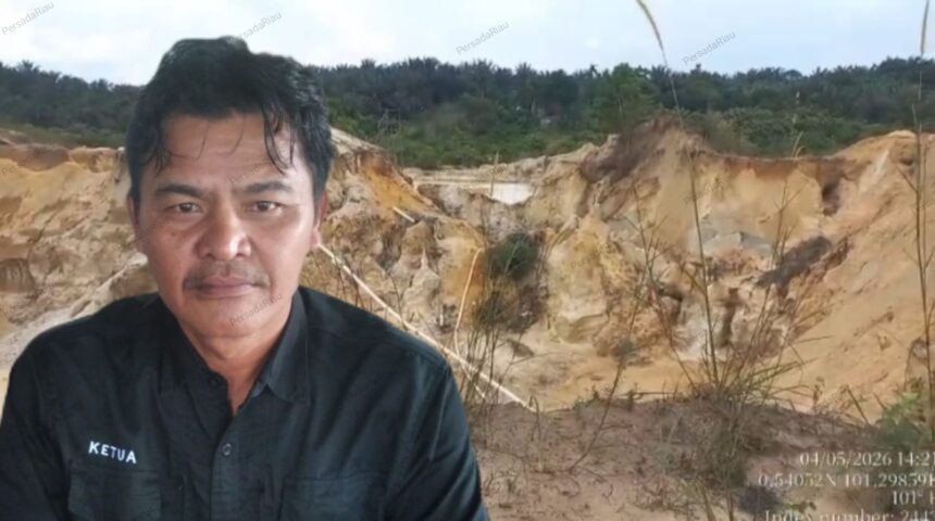 Berti Sitanggang, Plt Ketua Umum PETIR