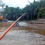 Penampakan perkebunan kelapa sawit di daerah aliran sungai