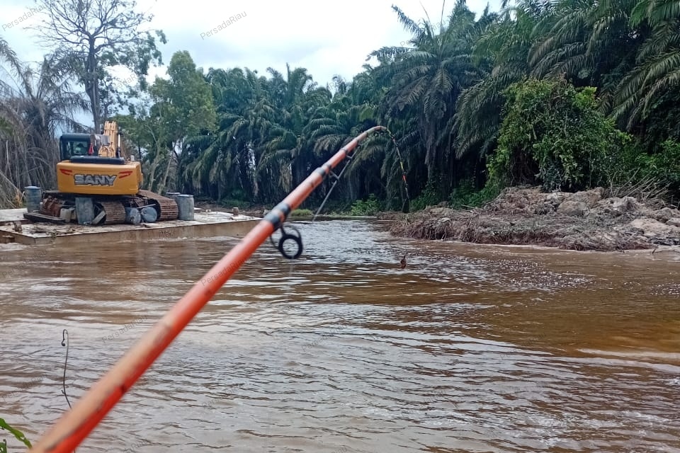 Penampakan perkebunan kelapa sawit di daerah aliran sungai