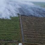 Kebakaran lahan kebun koperasi rtbs