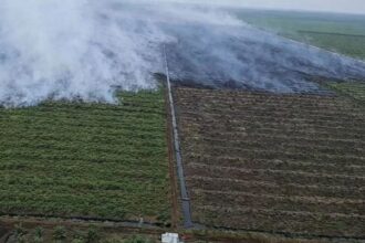 Kebakaran lahan kebun koperasi rtbs