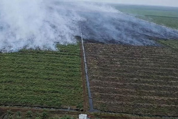 Kebakaran lahan kebun koperasi rtbs