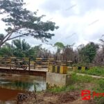 Aliran sungai di Desa Air Hitam tampak sawit yang mulai mati