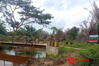 Aliran sungai di Desa Air Hitam tampak sawit yang mulai mati
