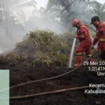 Karhutla di Siak (istimewa)