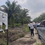 Saat DPRD dan Pemkab Siak inspeksi ke lahan HGU PT TKWL
