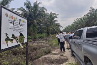 Saat DPRD dan Pemkab Siak inspeksi ke lahan HGU PT TKWL