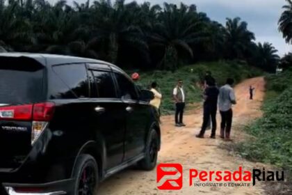 Penyidik Polda Riau di perkebunan sawit PT SLS