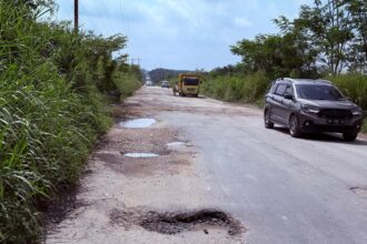 Jalan lintas Gasib - Maredan penghubung Siak - Pekanbaru