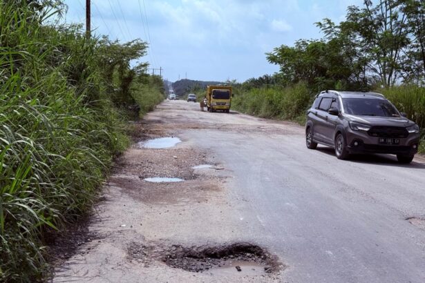 Jalan lintas Gasib - Maredan penghubung Siak - Pekanbaru