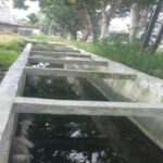 Pembangunan drainase di jalan srikandi kelurahan delima