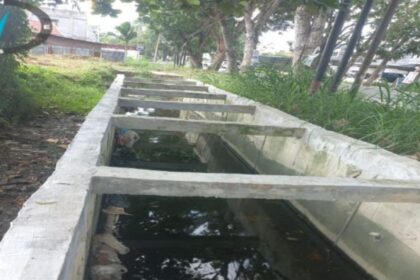 Pembangunan drainase di jalan srikandi kelurahan delima