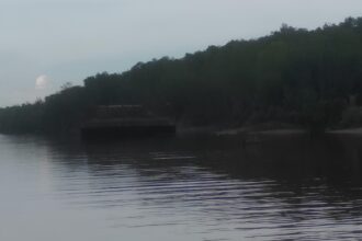 Tongkang pengangkut ekaliptus ditambat di pesisir labuhan bilik
