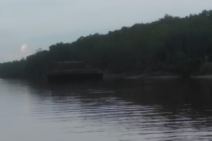Tongkang pengangkut ekaliptus ditambat di pesisir labuhan bilik