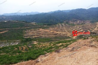 Kondisi perusakan hutan dan alih fungsi lahan